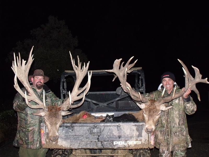Two fantastic red stags and happy hunters